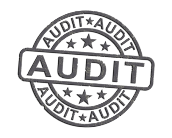 Internationale Audits