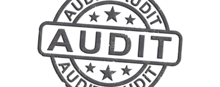 Internationale Audits